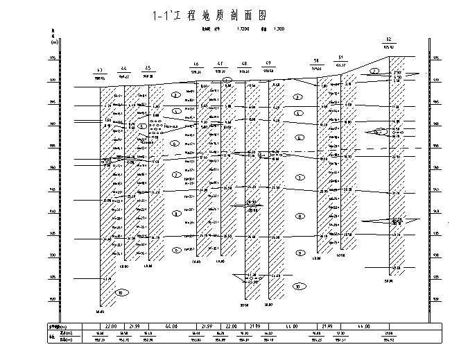 凯撒1.png